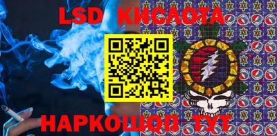 мяу мяу мука Кандалакша