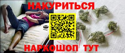 гашик Будённовск