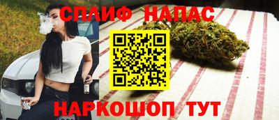 гашик Будённовск