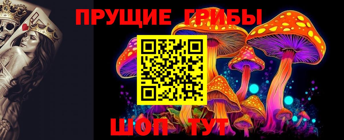 наркотики  Псилоцибиновые грибы Psilocybe  Вход с VPN  Москва 